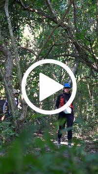 BIB:  <button type="button" onclick="openModal(28066828)" class="btn btn-primary btn-sm float-right" data-toggle="modal" data-target=".modal-high-quality">
                <i class="fa fa-download"></i> Download
                </button>